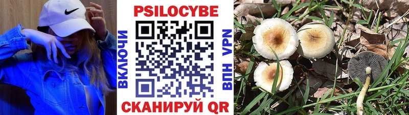 Галлюциногенные грибы мицелий  кракен сайт  Борисоглебск  купить наркотики сайты 